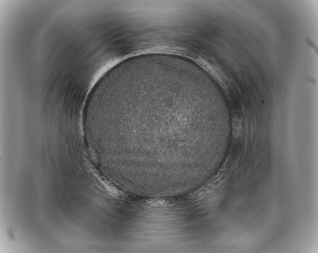 X0000098011230200804111225