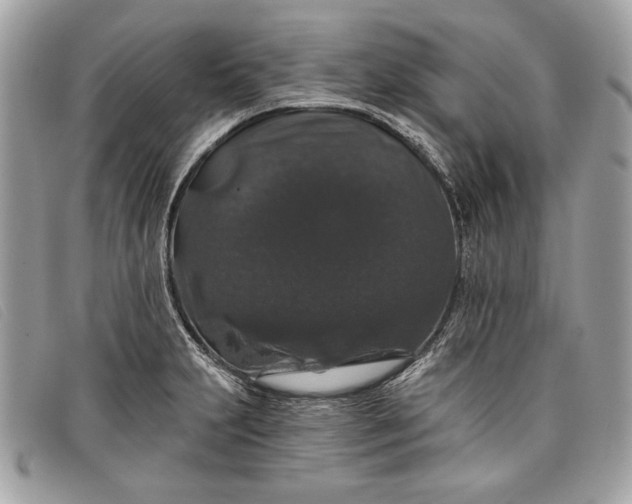 X0000098011231200804111225