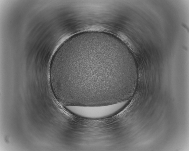 X0000098011232200804111225