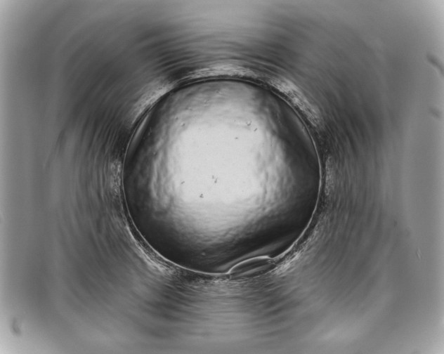 X0000098011233200804111225