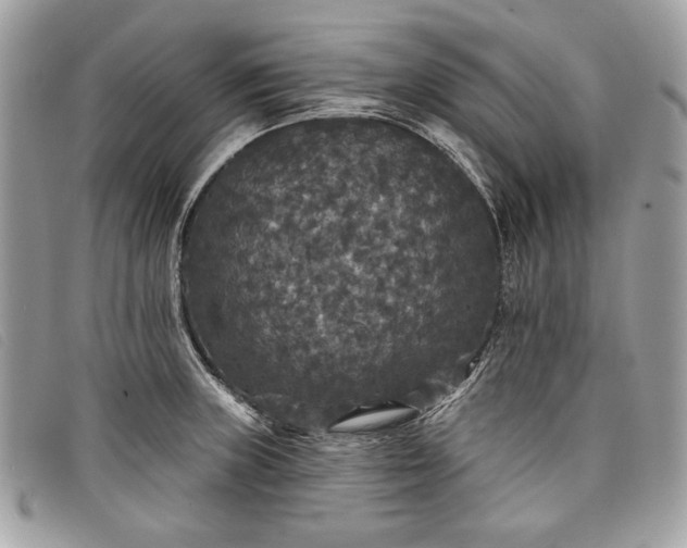 X0000098011235200804111225