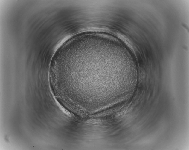 X0000098011237200804111225