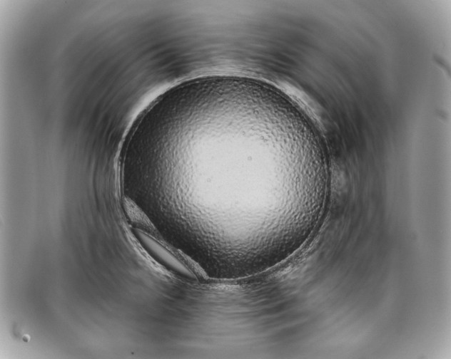 X0000098011238200804111225