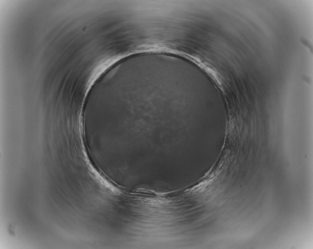 X0000098011239200804111225