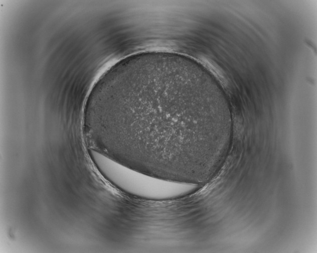 X0000098011240200804111225