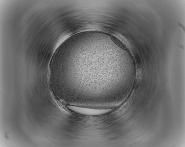 X0000098011242200804111225