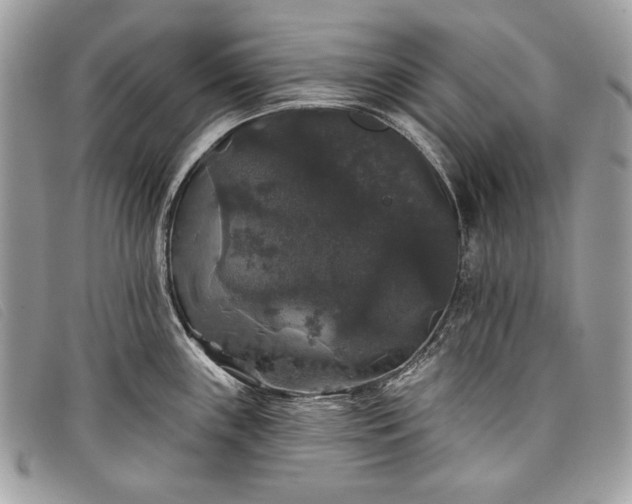 X0000098011243200804111225