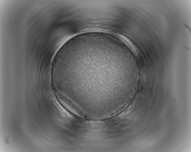 X0000098011244200804111225