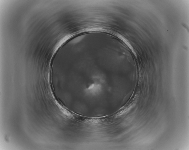 X0000098011245200804111225