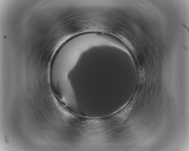 X0000098011246200804111225