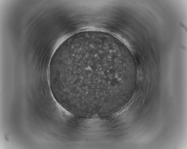 X0000098011247200804111225