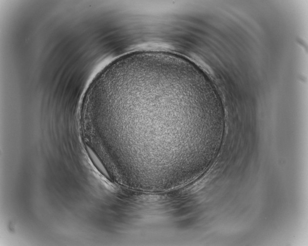 X0000098011248200804111225