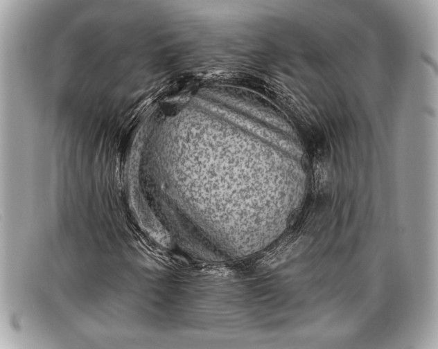 X0000098011250200804111224