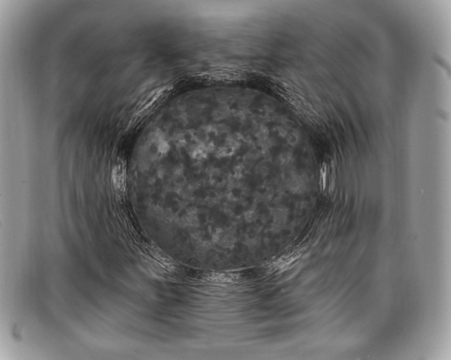 X0000098011251200804111224