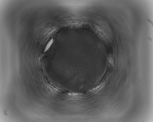 X0000098011252200804111224