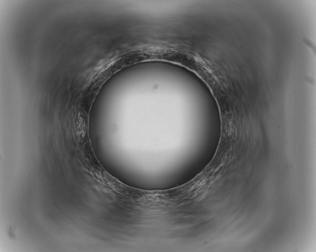 X0000098011253200804111224