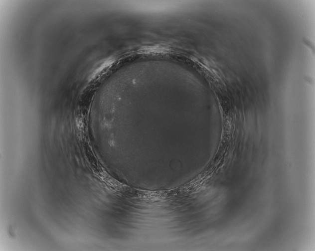 X0000098011254200804111224