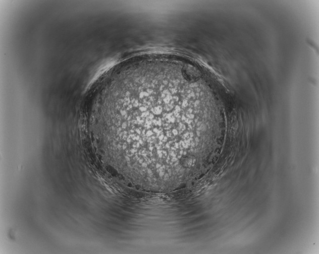 X0000098011255200804111224