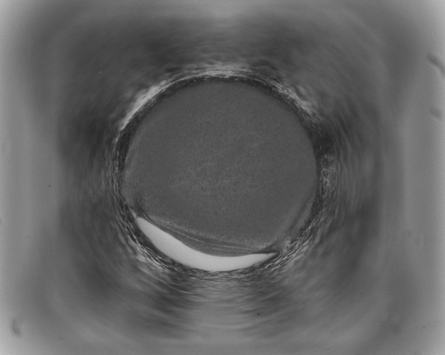 X0000098011256200804111224