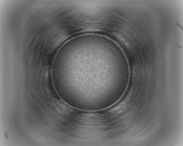 X0000098011257200804111224