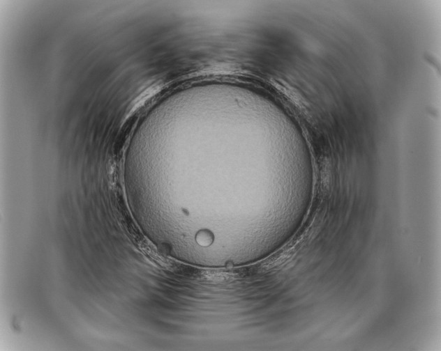 X0000098011258200804111224