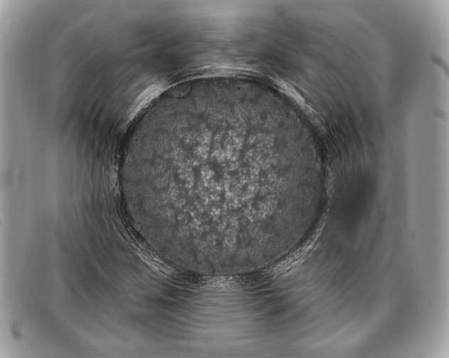 X0000098011259200804111224