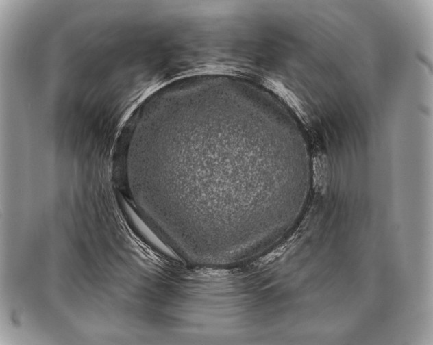 X0000098011260200804111224