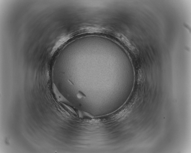 X0000098011261200804111224