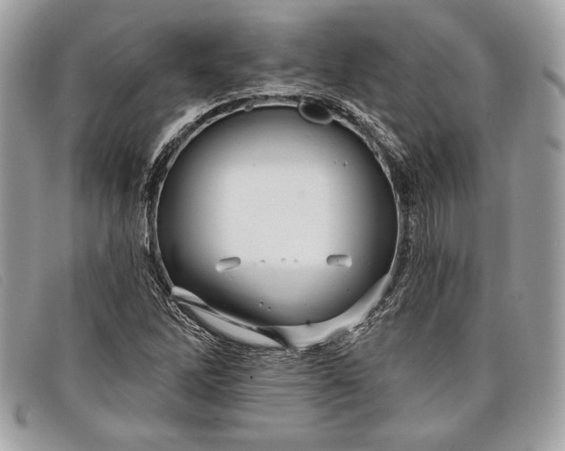 X0000098011262200804111224