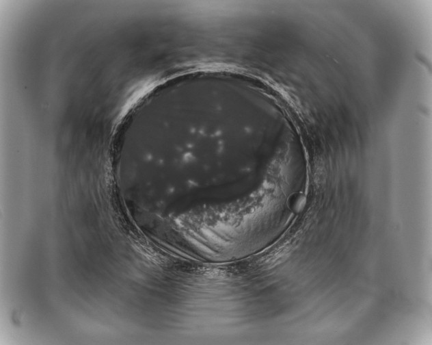 X0000098011263200804111224