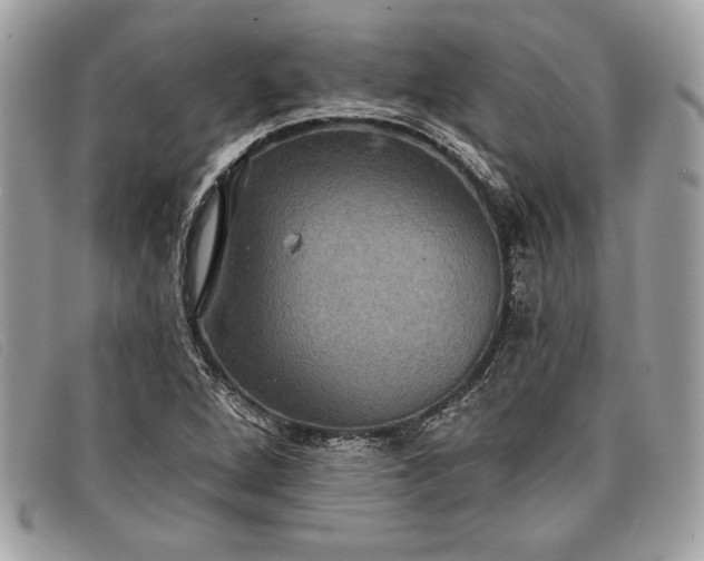 X0000098011264200804111224