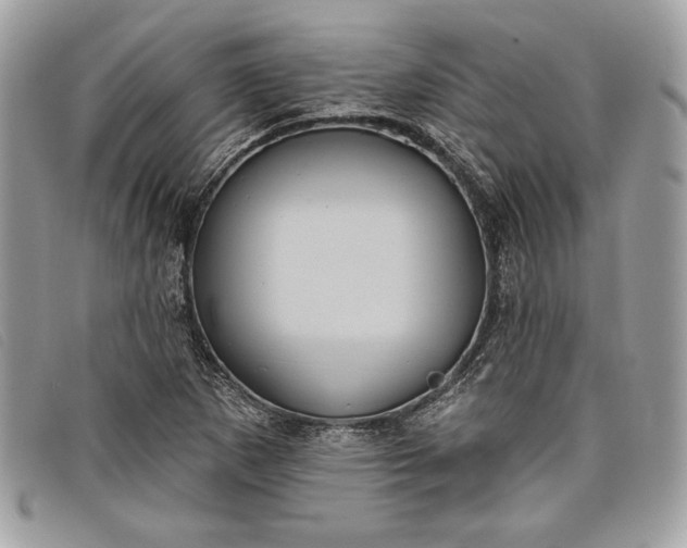 X0000098011265200804111224