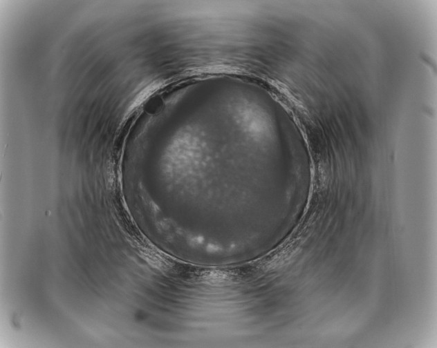 X0000098011266200804111224