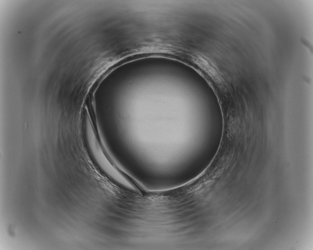 X0000098011268200804111224