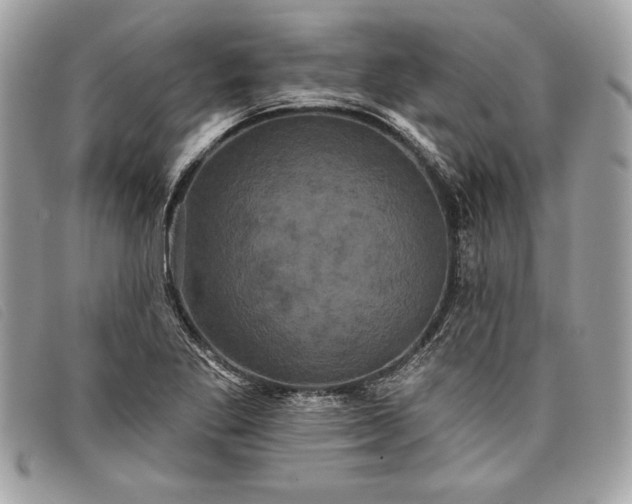 X0000098011269200804111224