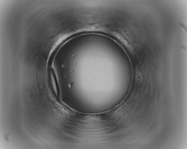 X0000098011270200804111224