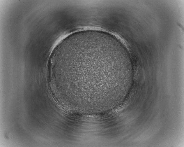 X0000098011271200804111224