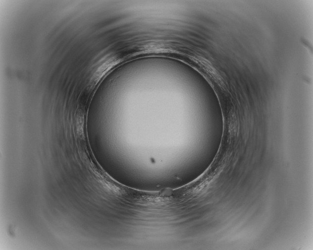 X0000098011273200804111224