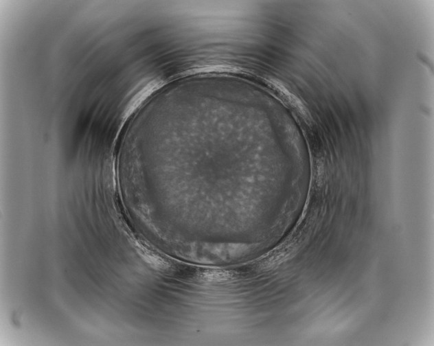 X0000098011274200804111224