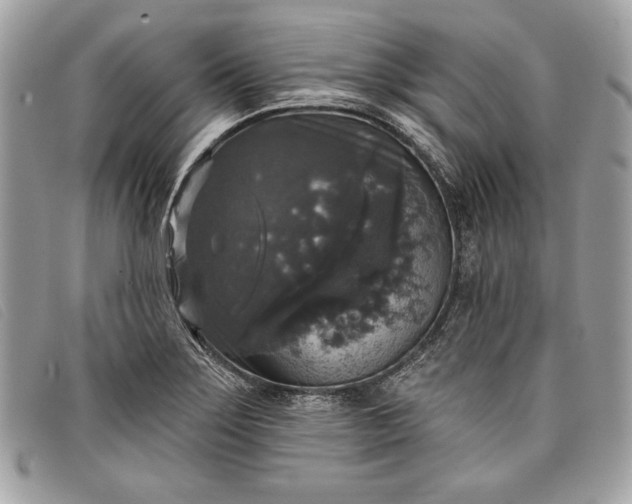 X0000098011275200804111224