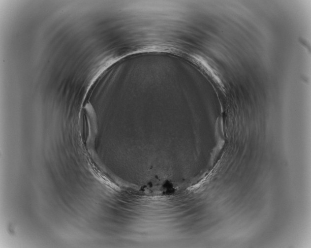 X0000098011276200804111224