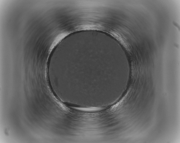 X0000098011277200804111224