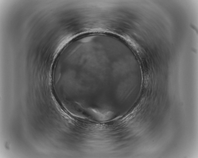 X0000098011279200804111224