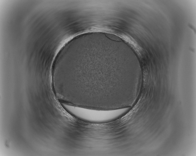 X0000098011280200804111224