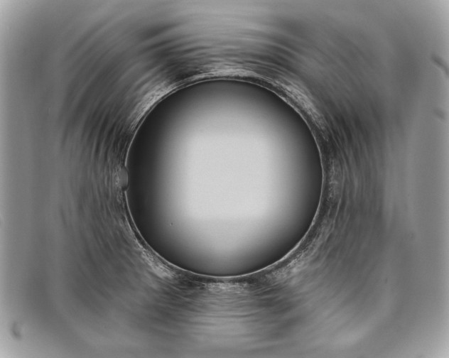 X0000098011281200804111224