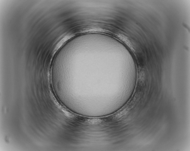 X0000098011282200804111224