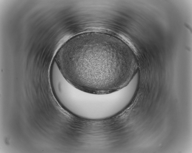 X0000098011283200804111224