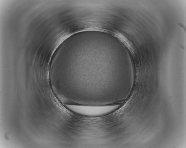 X0000098011284200804111224