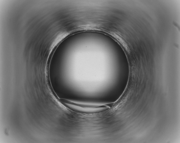 X0000098011285200804111224