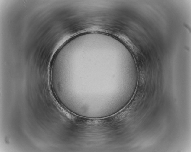 X0000098011286200804111224